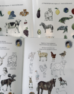 Развивающая книга «Әлемді танимыз! - Познаем мир!» - Image 2